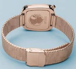 Bering 18034-364