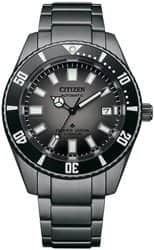 Citizen CINB6025-59H - אחריות יבואן רשמי