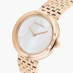 Calvin Klein Watches 25200322