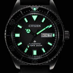 	Citizen Promaster Marine Diver's