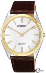 Citizen CIAR3074-03A - אחריות יבואן רשמי