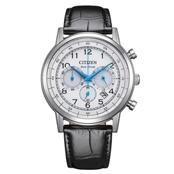 CICA4630-02A